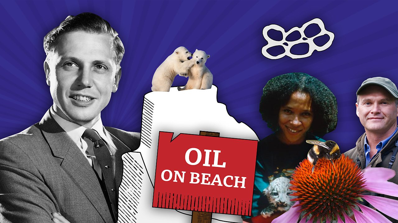 Nature and Environment