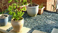 paving with pot plants