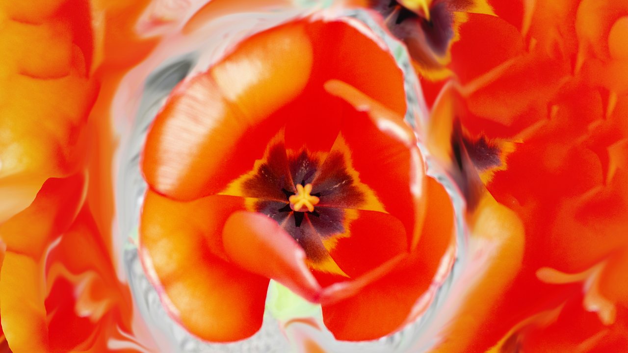 Britten: War Requiem, Op. 66