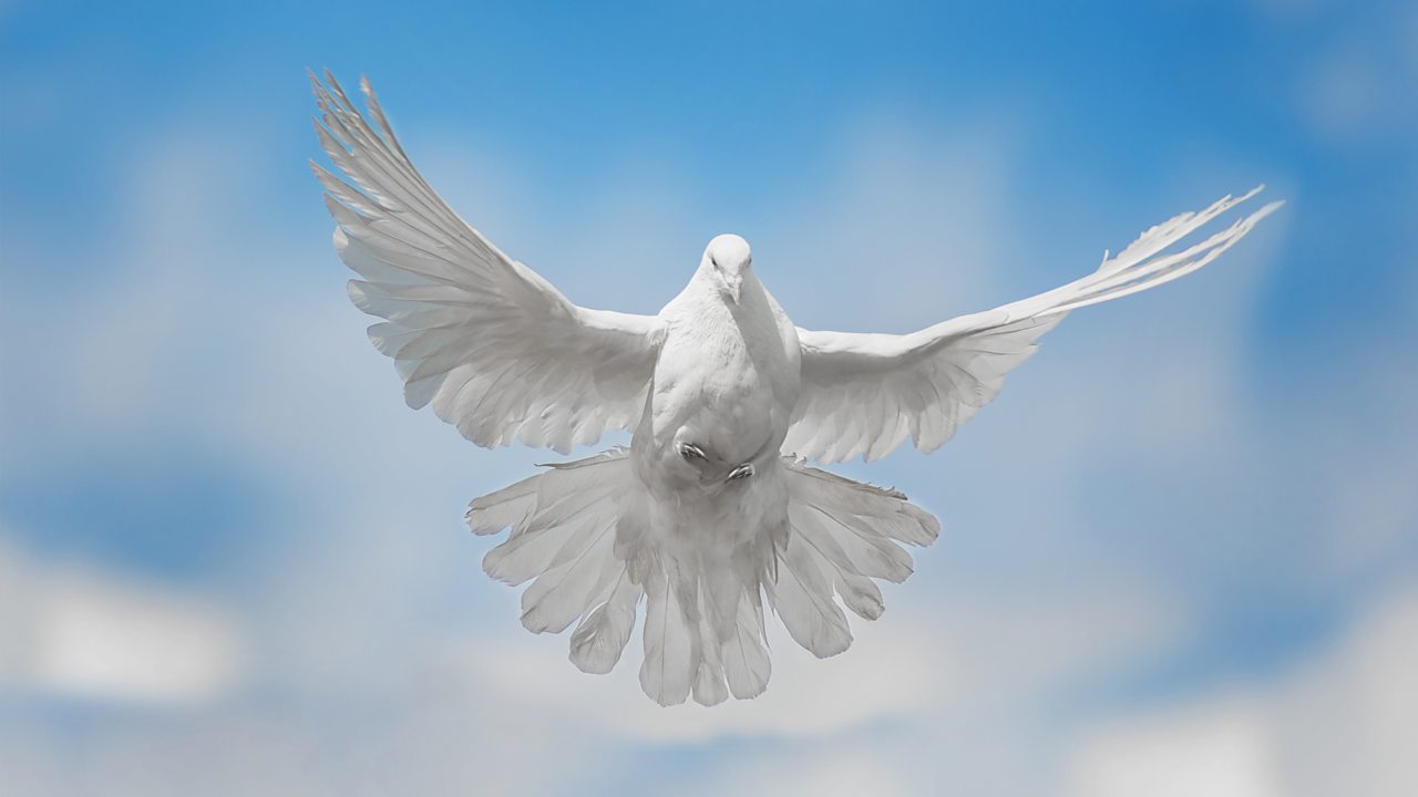 Bach: St John Passion