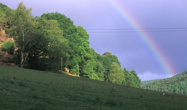 Rainbow over wood by Steven Kind