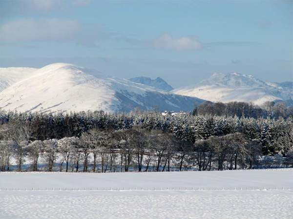 Taken on Gallangad Farm, Gartocharn, West Dunbartonshire by, Emma Shanks