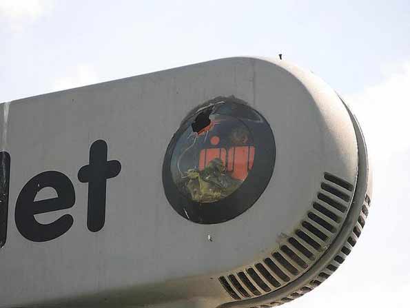 Blue Tits nesting in toilet sign! by David Barnes