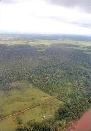 deforested area in Amazon