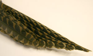 Quiz item A (another shot)