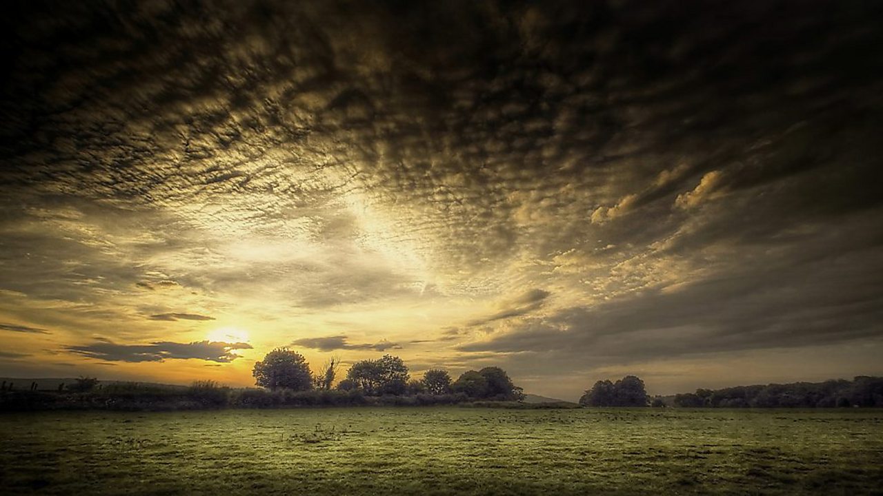 Janáček: String Quartet No. 1 'The Kreutzer Sonata'