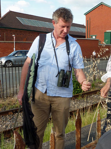Stephen Moss leads a butterfly hunt