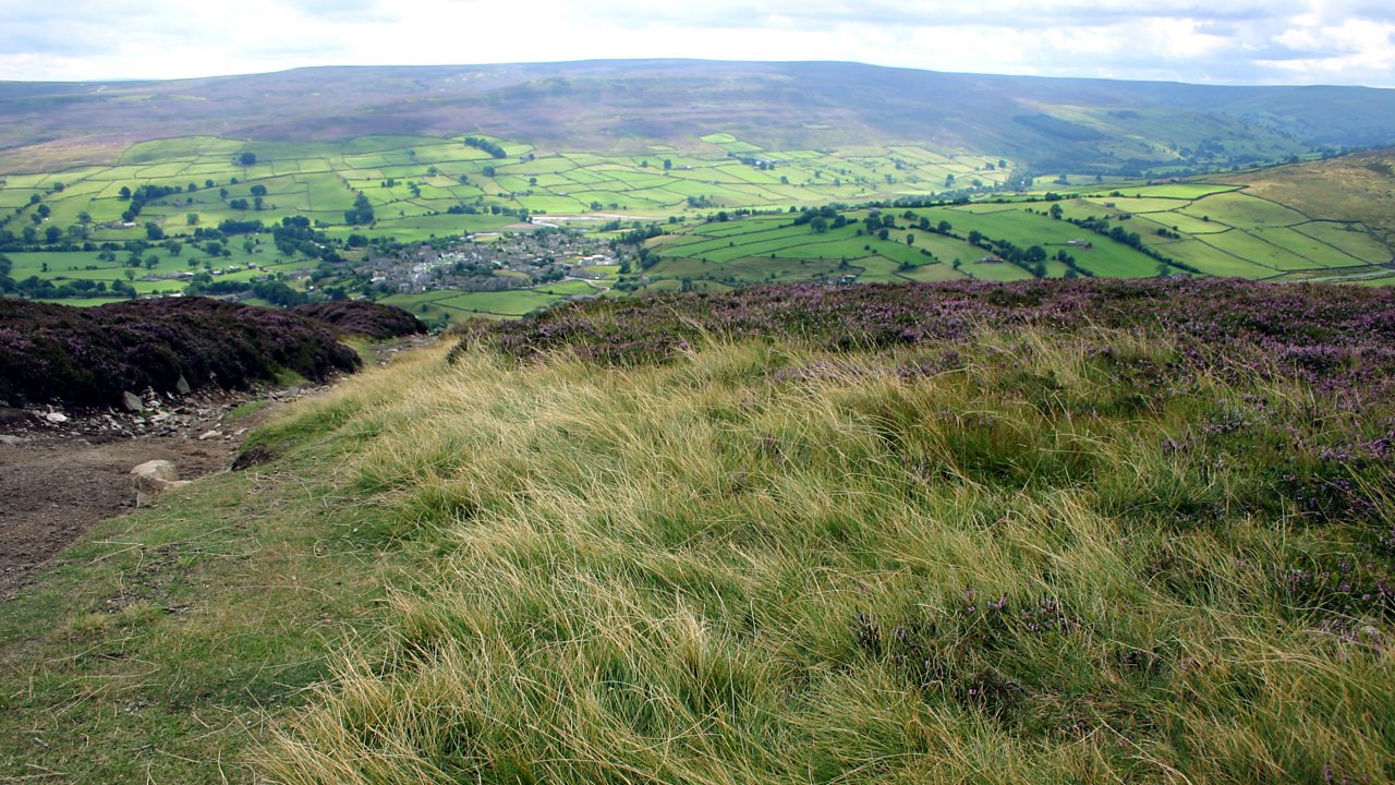 Alwyn: Symphony No. 1 in D major