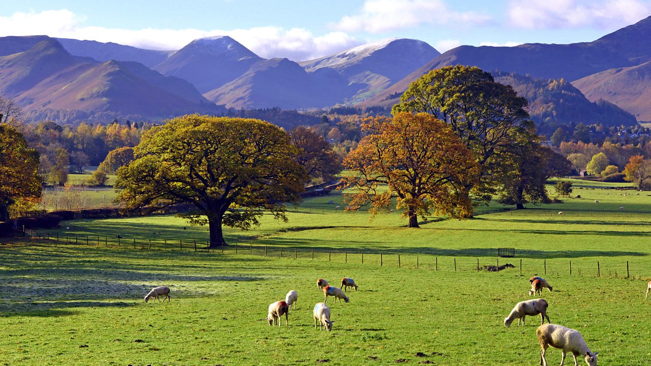 Brahms: Symphony No. 2 in D major, Op 73