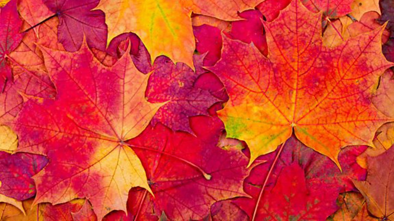 Vaughan Williams: On Wenlock Edge