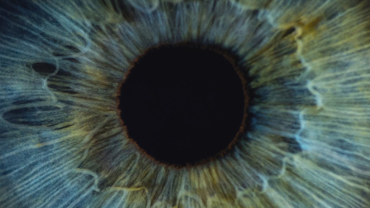 Ysaye: Sonata No. 2 in A minor, Op 27, 'Obsession'