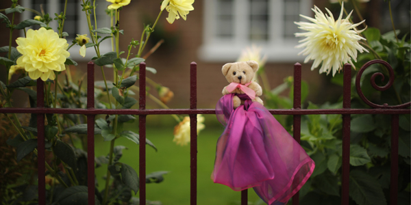 Teddy Bear on railings
