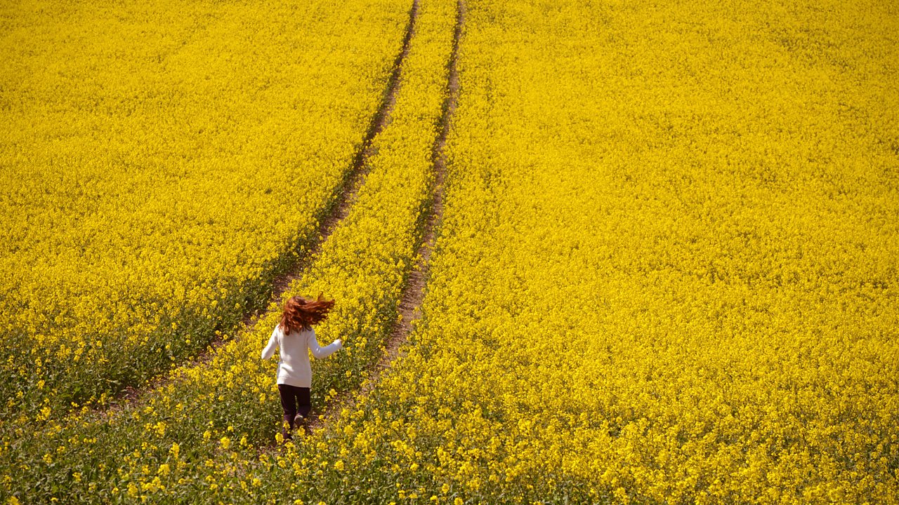 Dvořák: Piano Quintet No. 2 in A major, Op 81
