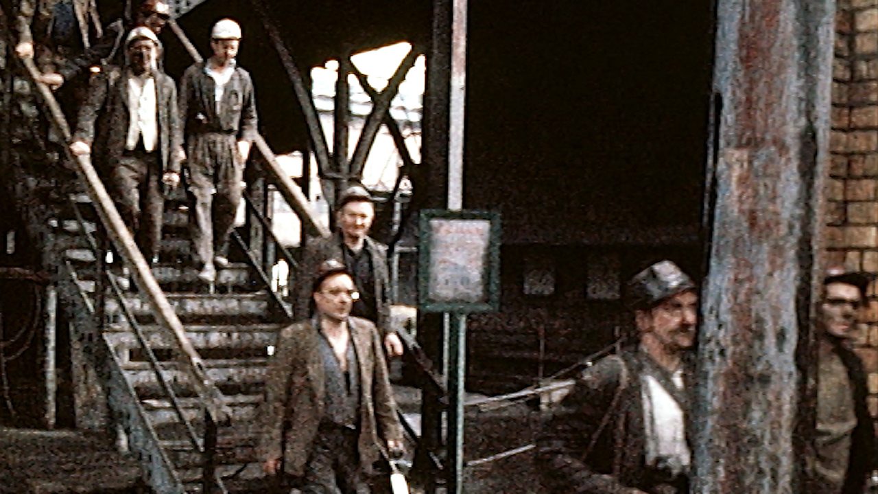 Man Alive - Packing Up and Moving Out