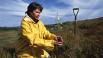 Women planting tree