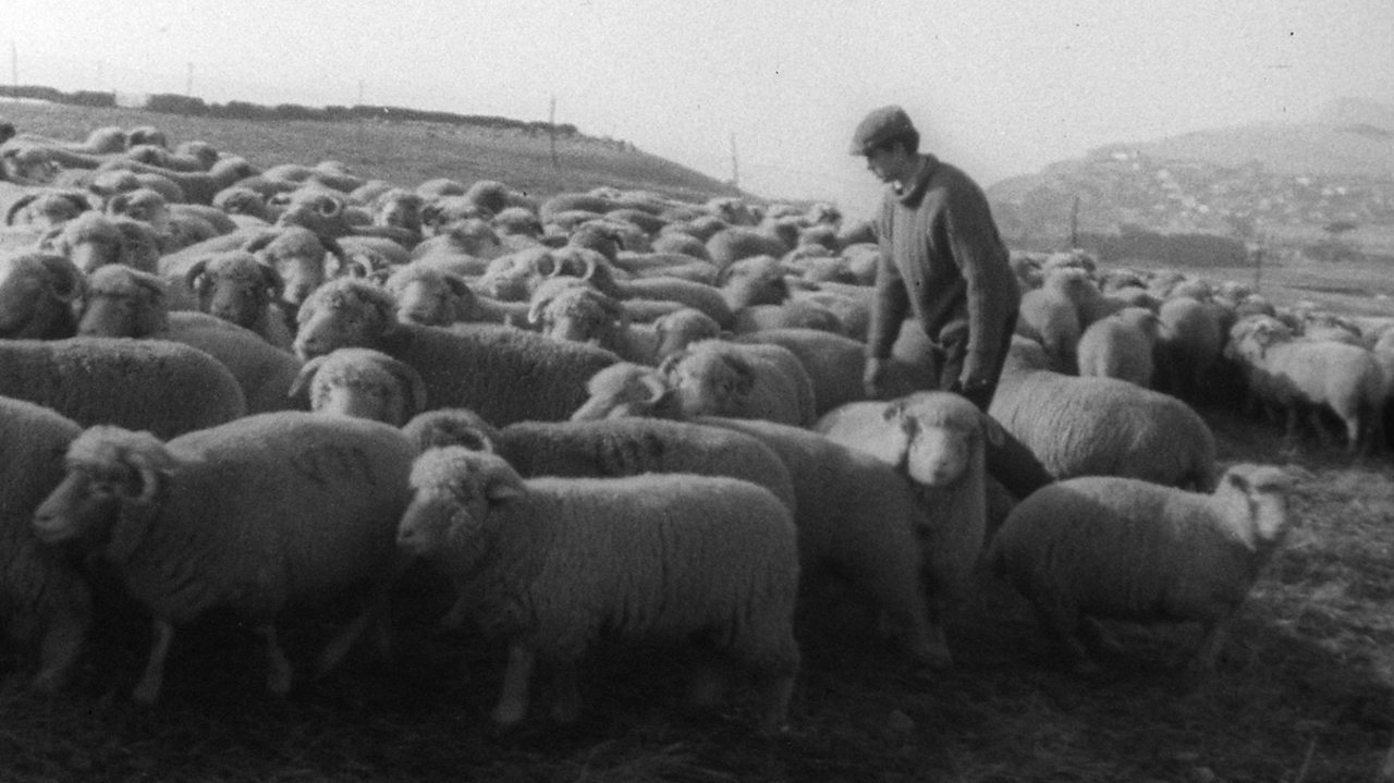 How well do shepherds know their flock? 1963