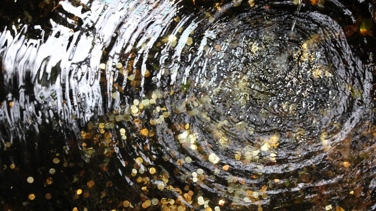 Beethoven: Rondo a capriccio in G major, Op 129, 'Rage over a lost penny'