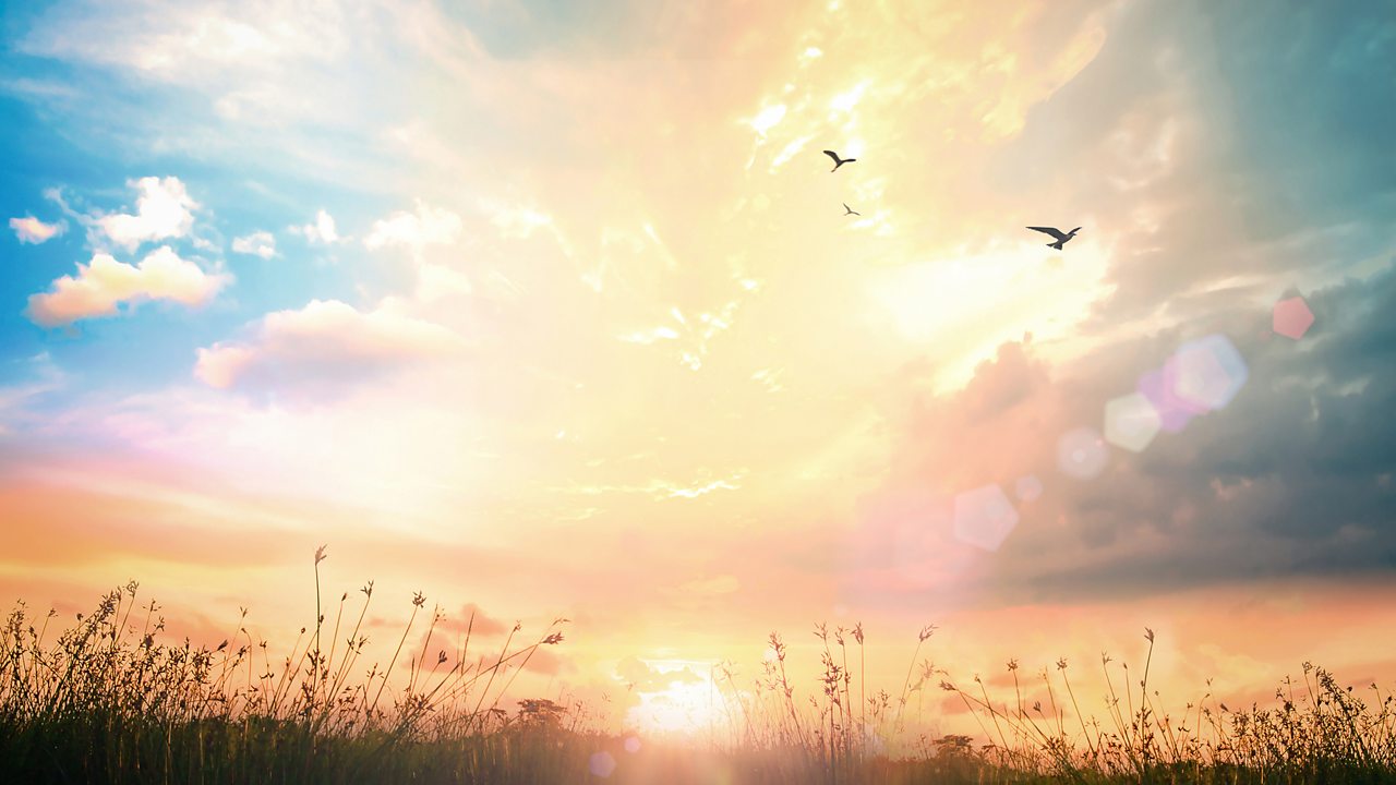 Haydn: Quartet in B flat major, Op 76 No. 4, (Sunrise)