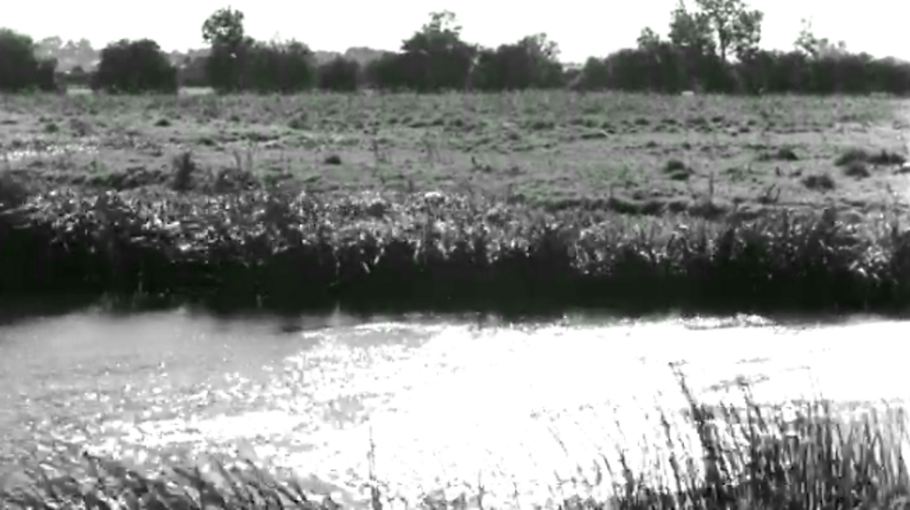 Banks and streams interlude, 1954