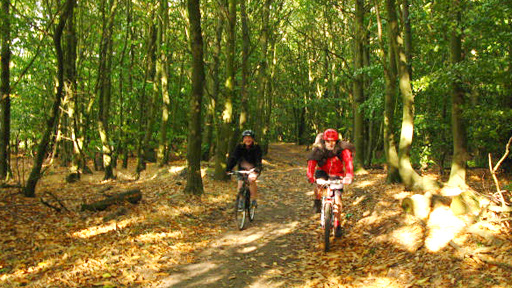 cycling in a forest