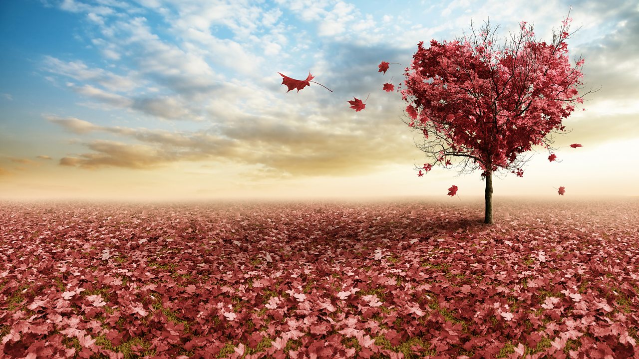 Berg: Piano Sonata, Op 1