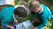 Two schoolchildren examining wildlife