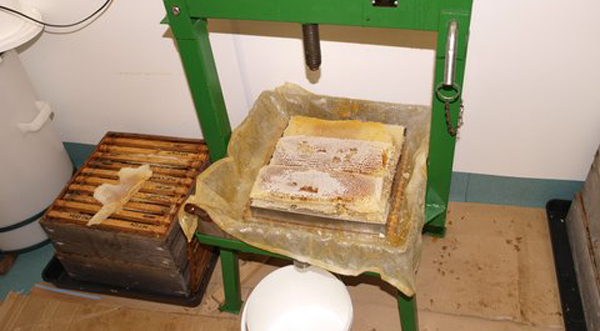 Farming Today honey press