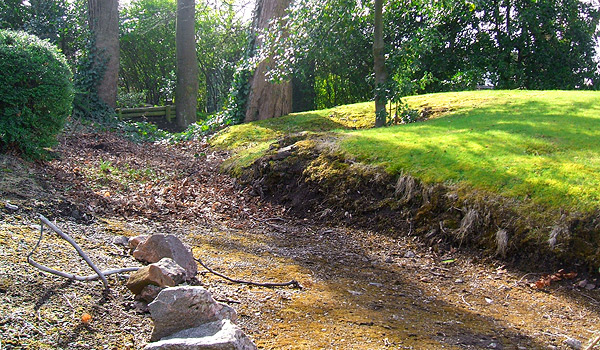 Beechgrove allotment site