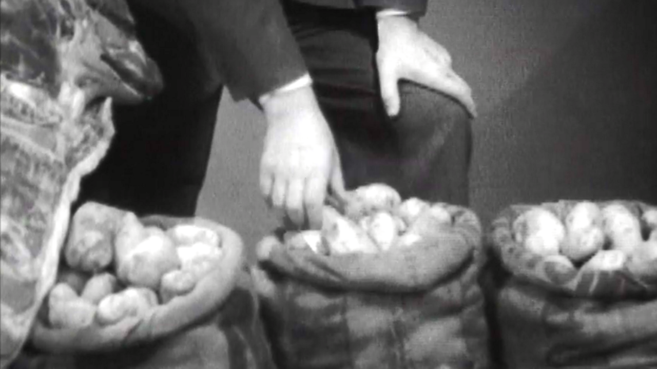 Average annual food consumption, 1960