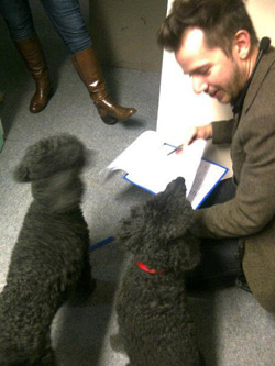 Chris Packham's poodles