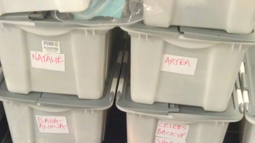 Storage boxes full of shoes.