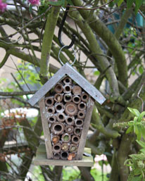 BBC - Breathing Places - Make a bee home or café