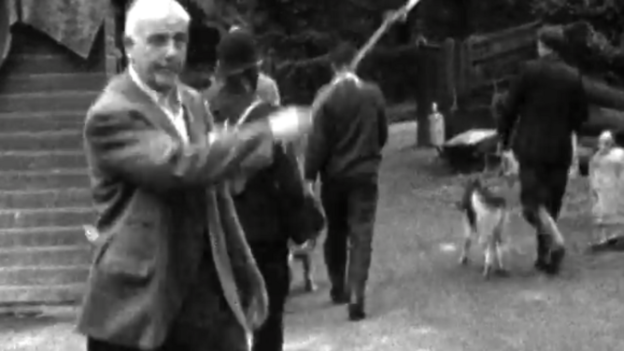 Shooters Hill cheetah, 1963