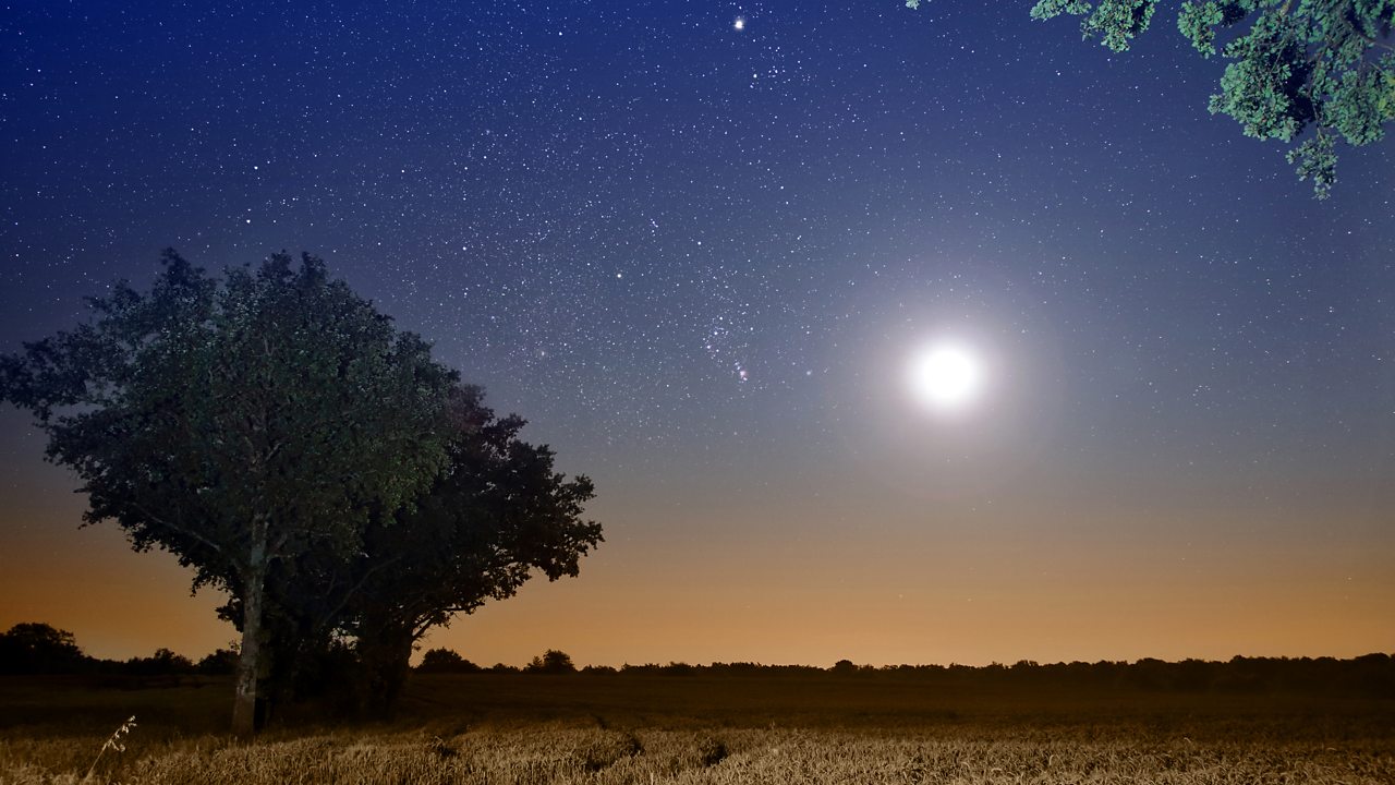 Fauré: 2 Songs, Op 46 (No. 2, Clair de lune)