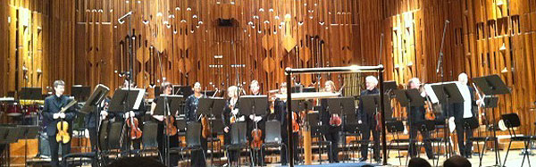 Picture of the BBC Symphony Orchestra viola section