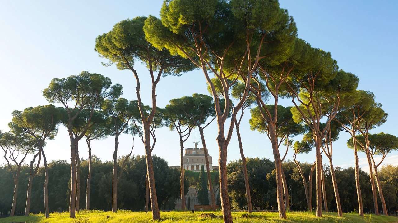 Respighi: Pines of Rome