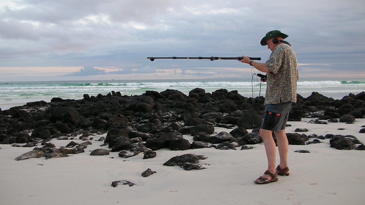 The Chris Watson Collection