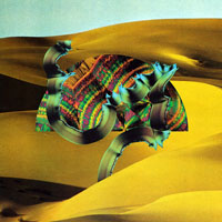 Django Django - Django Django