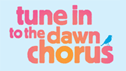 Dawn Chorus