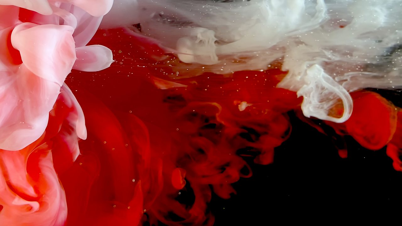 Lutosławski: Concerto for orchestra