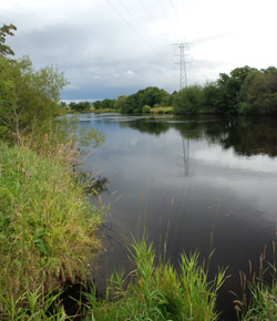 The view from the medieval castle mound 