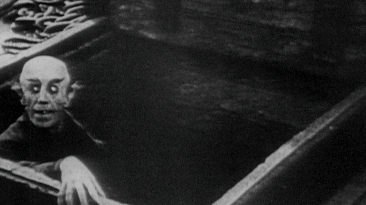 Tuesday Documentary - The Dracula Business