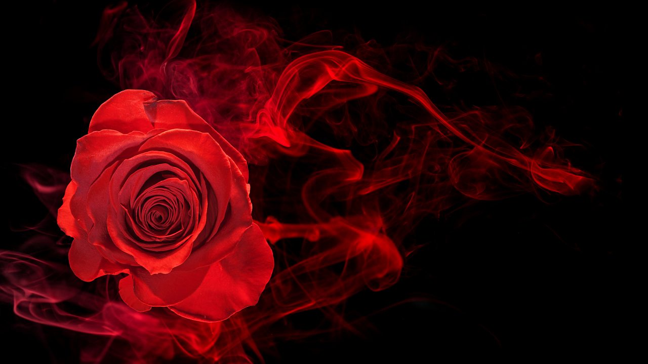 Schubert: Heidenroslein, D 257