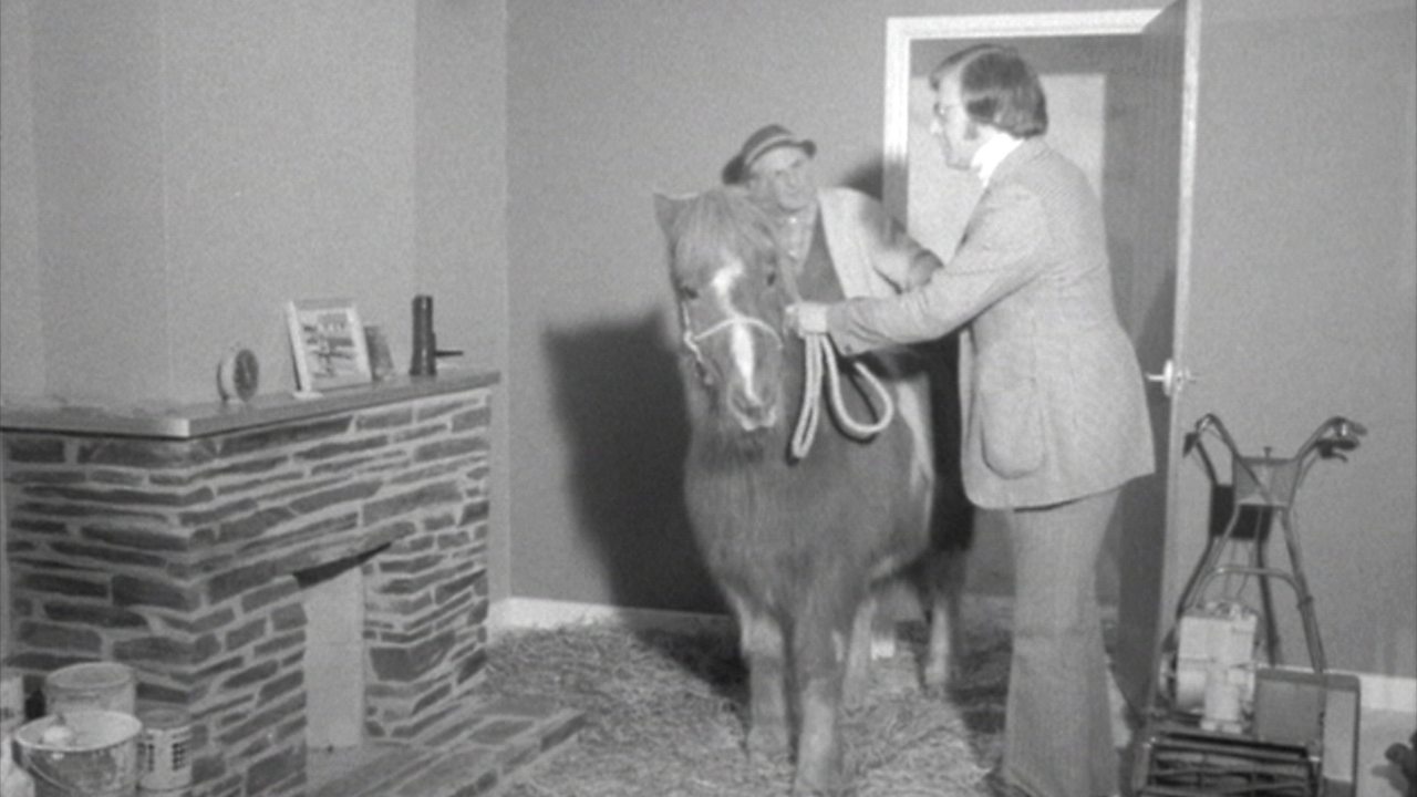 Noddy's stable, 1975