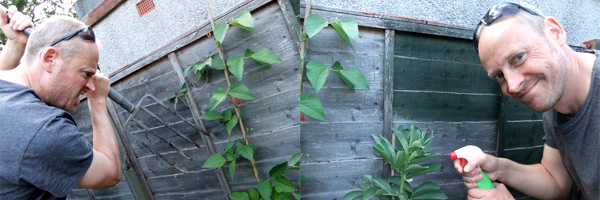 Richard Cadey's 'Garden of Earthly Delights' 