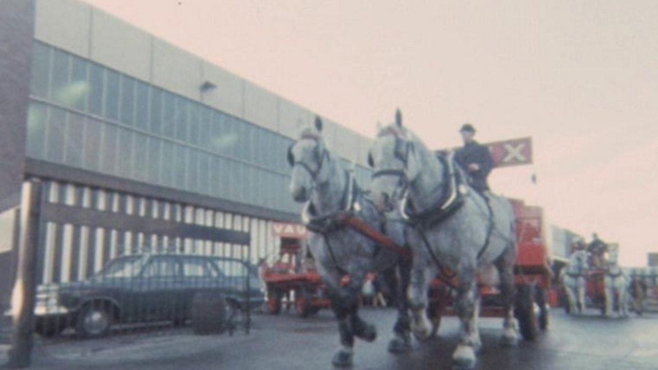 Three-day week horses, 1974