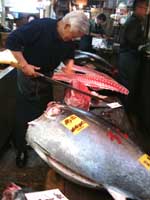 tokyo_fish_market2.jpg