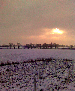 A snowy day at the site of the Battle of Bosworth. Looking towards Fen Hole.
