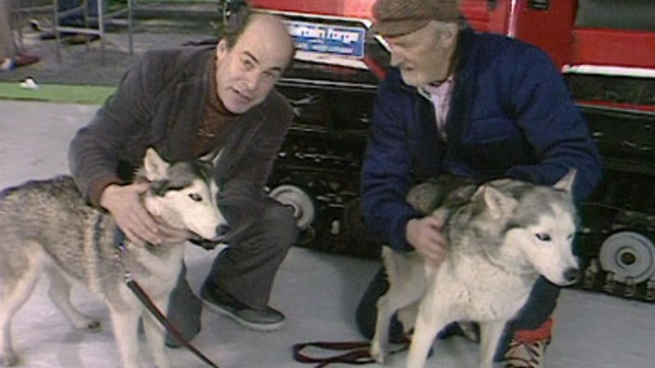 The Great Egg Race - Huskies