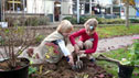 children watering plants